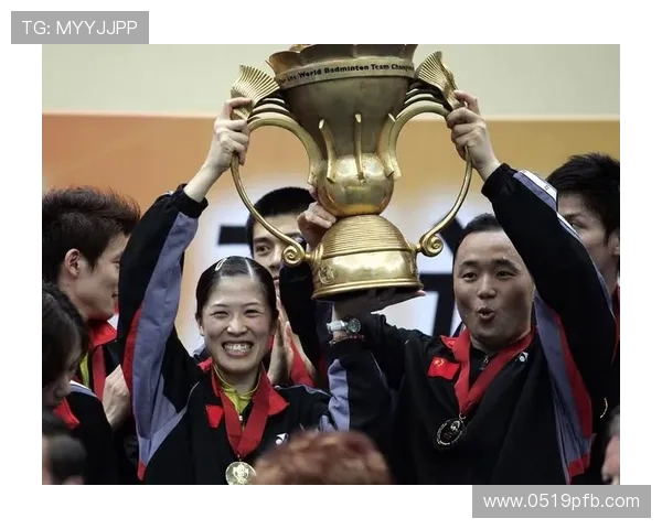 南京羽毛球队在杯赛中的比赛经验与表现分析